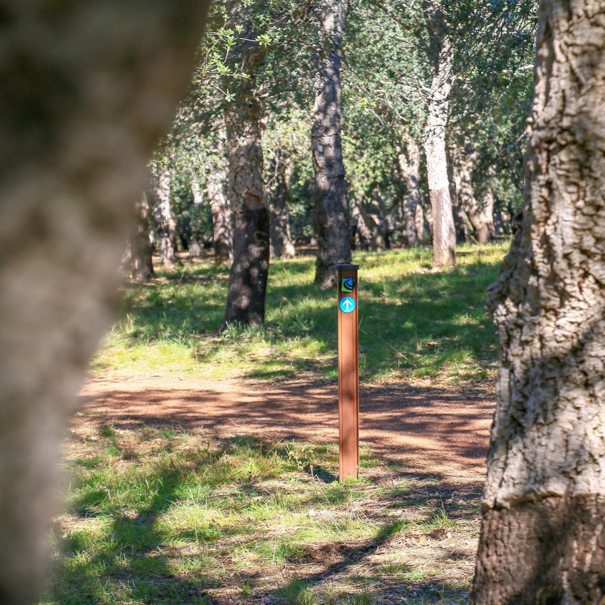 Canberra Centenary Trail: Part 4