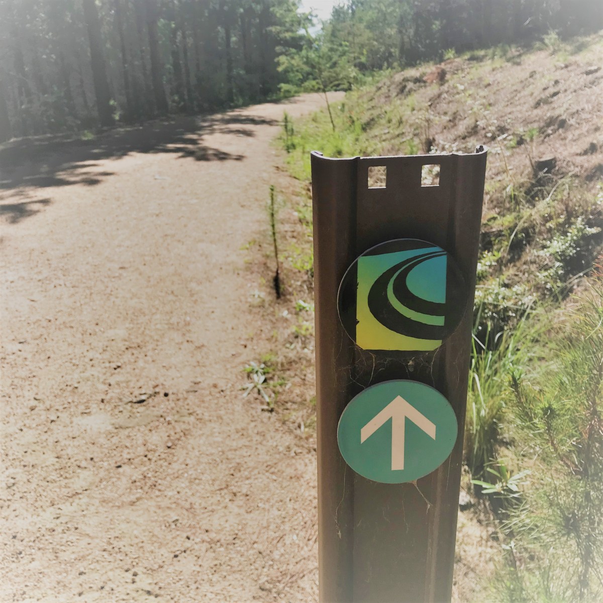 Canberra Centenary Trail: Prologue