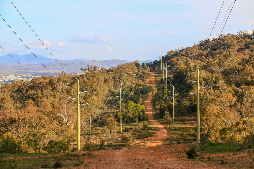 Transformers. Trees in DIsguise