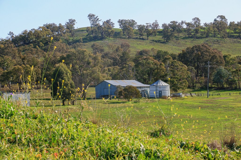Pastoral scenes off the highway