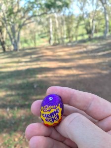 Disappointing Cadbury version