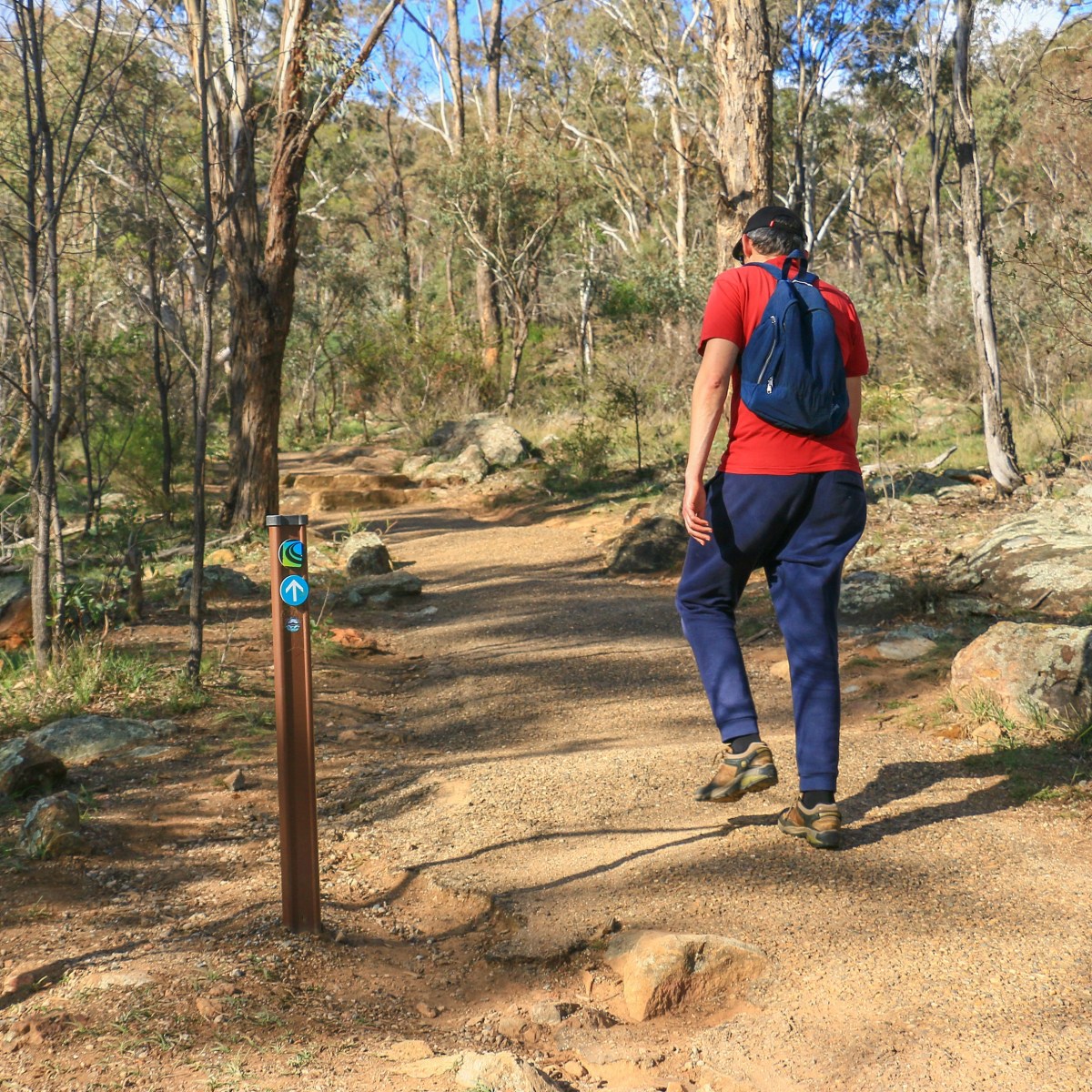 Canberra Centenary Trail: Part 2