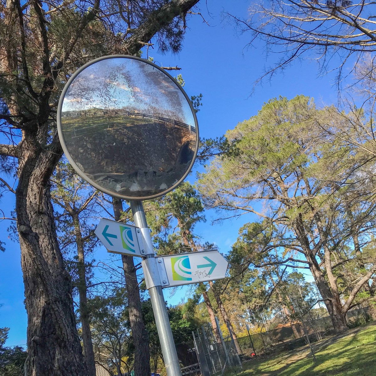 Canberra Centenary Trail: Part 5